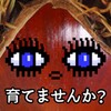精准比分 