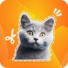 蒜瓣Learning